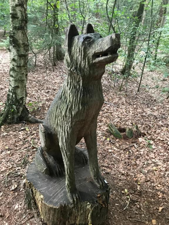 Appartement De Braam room 4